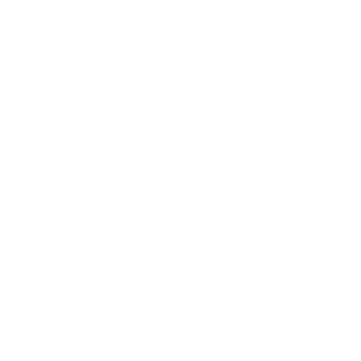 feature-item-4